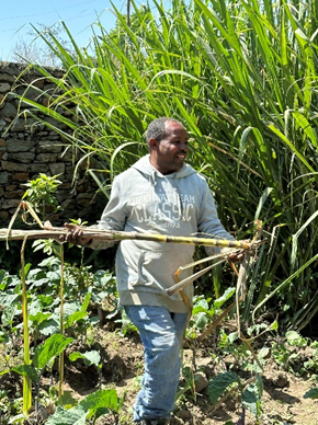 Fekadu plukt een stengel met suikerriet voor Gerdien van Genderen